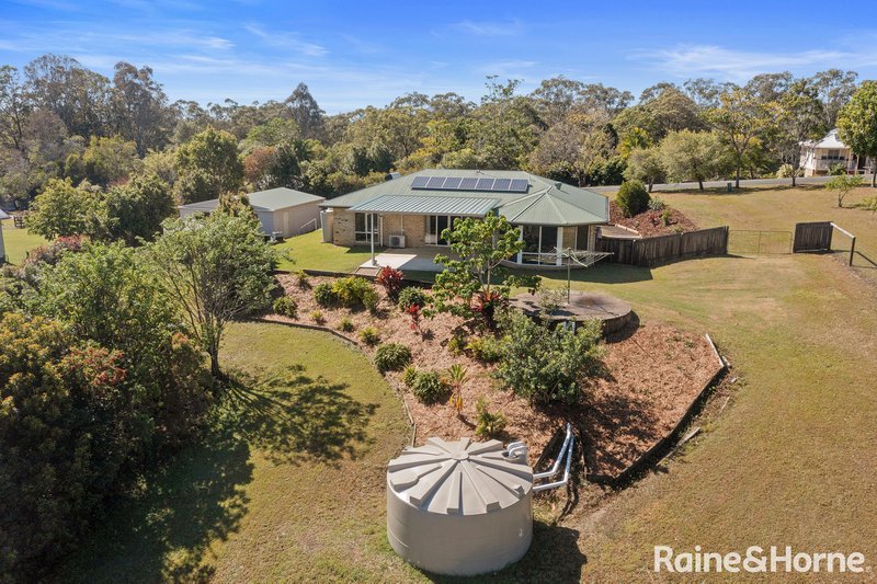 Photo - 136 Blueberry Drive, Black Mountain QLD 4563 - Image 13