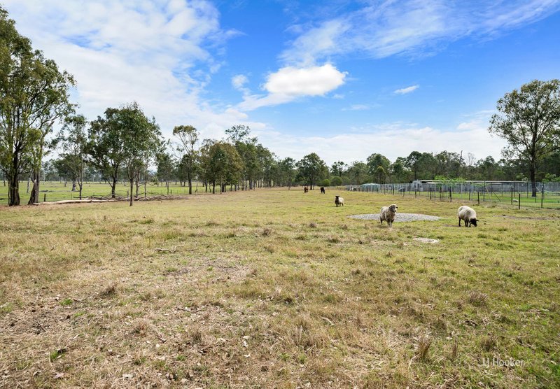 Photo - 136 Braemore Lane, Braemore QLD 4313 - Image 24