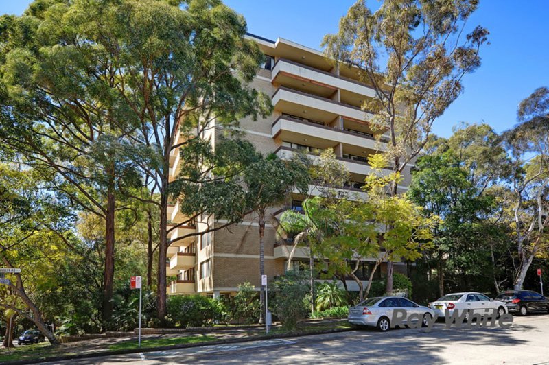 13/6 Francis Road, Artarmon NSW 2064