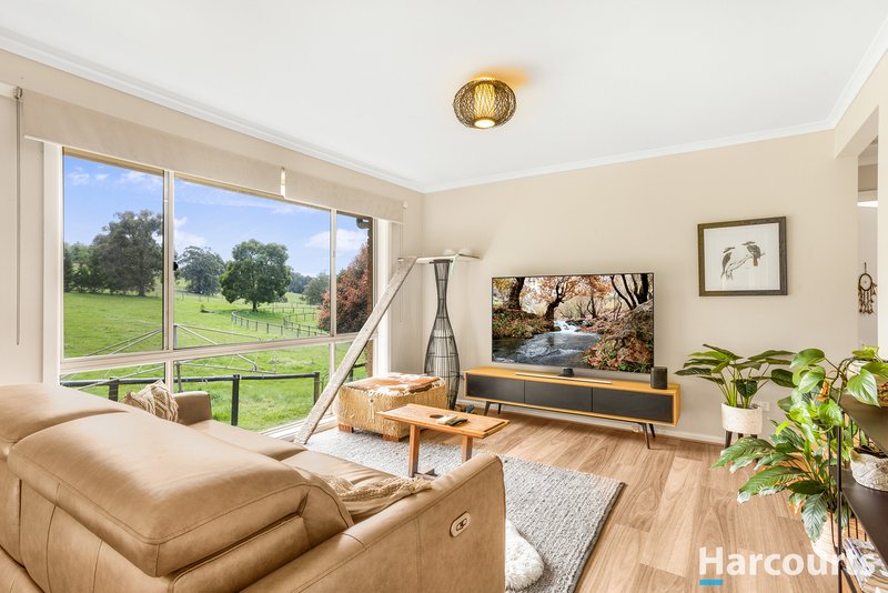 Photo - 136 Hunts Road, Willow Grove VIC 3825 - Image 4