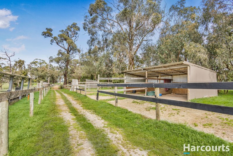 Photo - 136 Hunts Road, Willow Grove VIC 3825 - Image 21