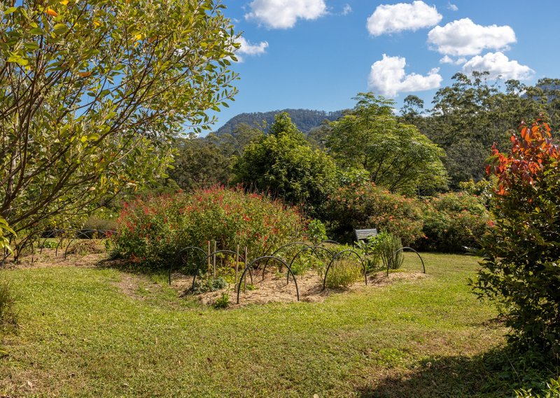 Photo - 136 Miss Careys Road, Killabakh NSW 2429 - Image 24