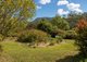 Photo - 136 Miss Careys Road, Killabakh NSW 2429 - Image 24