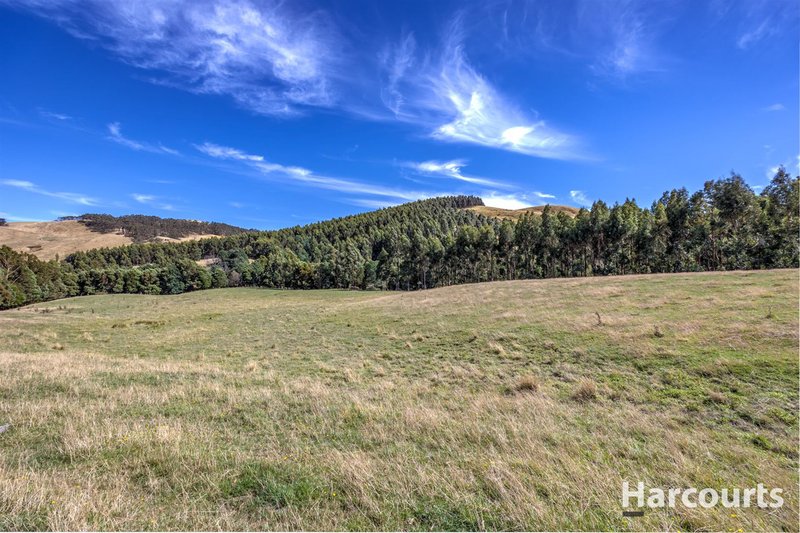 Photo - 136 O'Tooles Road, Wild Dog Valley VIC 3953 - Image 3