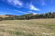 Photo - 136 O'Tooles Road, Wild Dog Valley VIC 3953 - Image 3