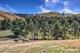 Photo - 136 O'Tooles Road, Wild Dog Valley VIC 3953 - Image 4