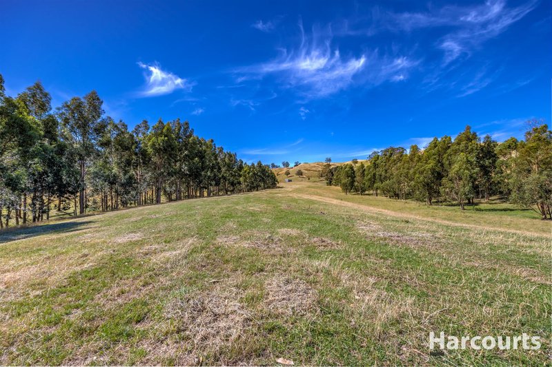 Photo - 136 O'Tooles Road, Wild Dog Valley VIC 3953 - Image 6