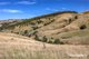 Photo - 136 O'Tooles Road, Wild Dog Valley VIC 3953 - Image 9