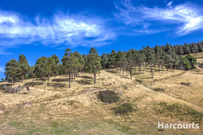 Photo - 136 O'Tooles Road, Wild Dog Valley VIC 3953 - Image 11