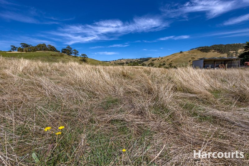 Photo - 136 O'Tooles Road, Wild Dog Valley VIC 3953 - Image 12