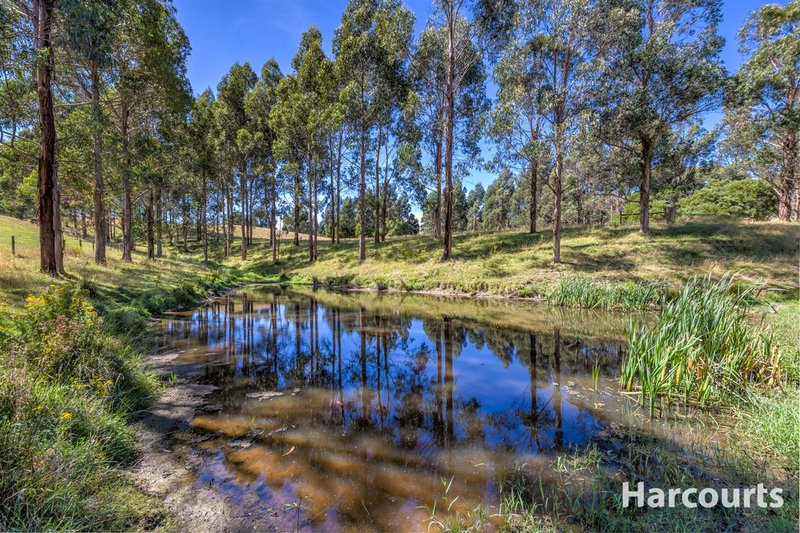 Photo - 136 O'Tooles Road, Wild Dog Valley VIC 3953 - Image 13