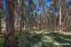 Photo - 136 O'Tooles Road, Wild Dog Valley VIC 3953 - Image 15