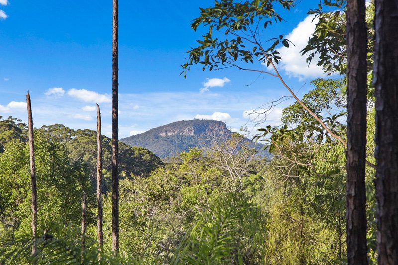 Photo - 136 Wappa Falls Road, Yandina QLD 4561 - Image 4