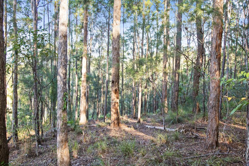 Photo - 136 Wappa Falls Road, Yandina QLD 4561 - Image 6