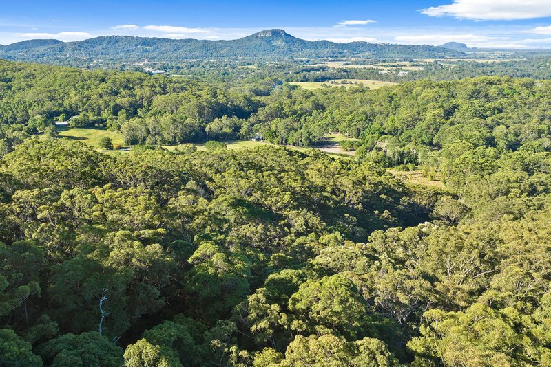 Photo - 136 Wappa Falls Road, Yandina QLD 4561 - Image 7