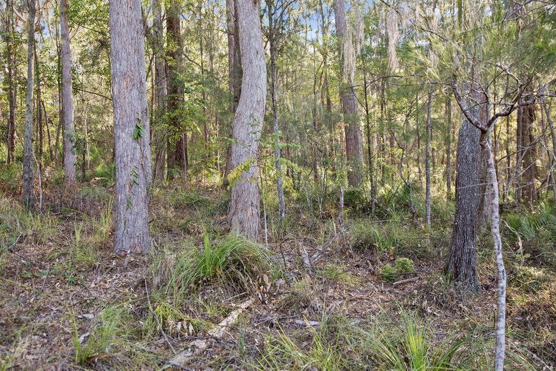 Photo - 136 Wappa Falls Road, Yandina QLD 4561 - Image 10