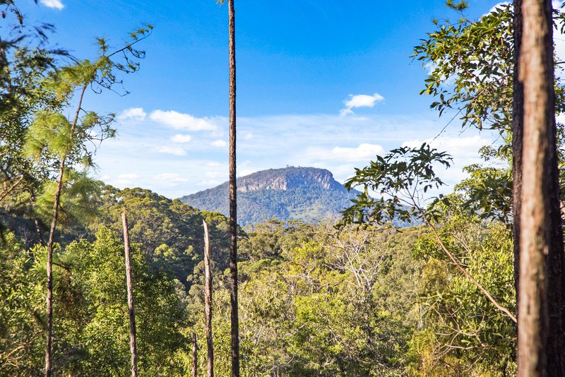 Photo - 136 Wappa Falls Road, Yandina QLD 4561 - Image 11