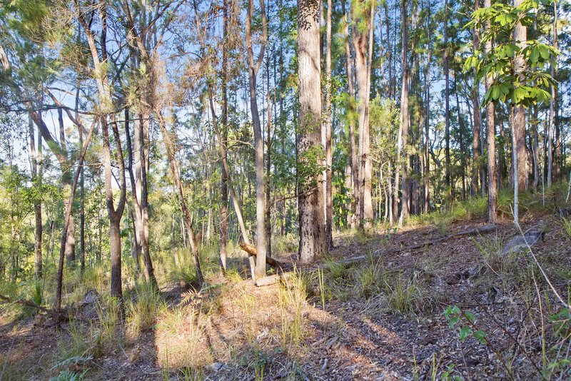 Photo - 136 Wappa Falls Road, Yandina QLD 4561 - Image 12