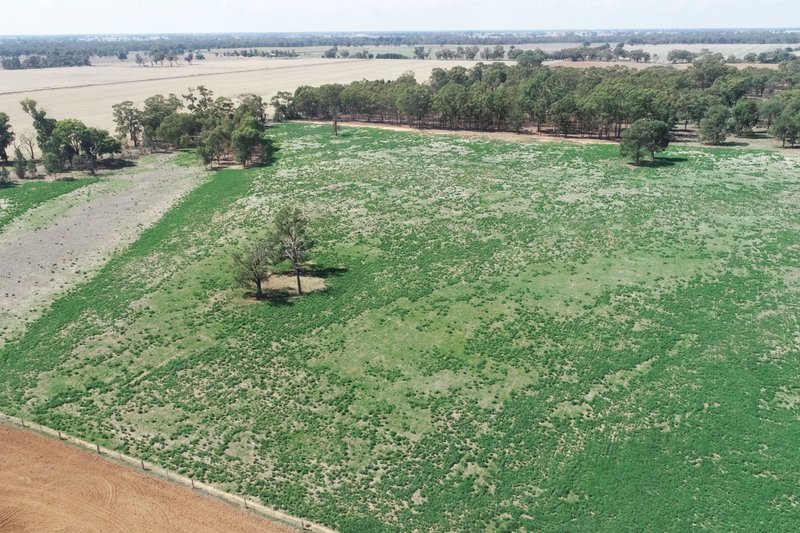 Photo - 1/360 Hicks Road, Kaarimba VIC 3635 - Image 5