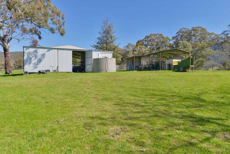 Photo - 1361 Duncans Creek Road, Tamworth NSW 2340 - Image 22