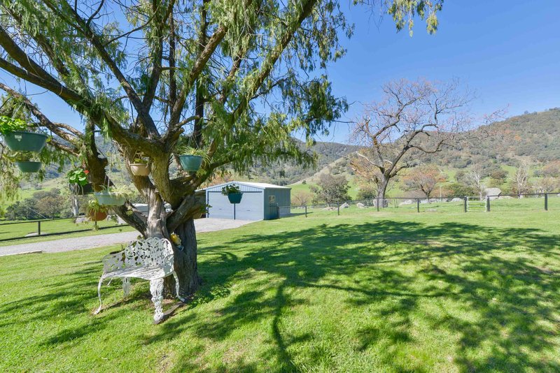 Photo - 1361 Duncans Creek Road, Tamworth NSW 2340 - Image 23