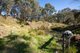 Photo - 1364 Puddledock Road, Armidale NSW 2350 - Image 19