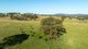 Photo - 1364 Puddledock Road, Armidale NSW 2350 - Image 23