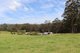 Photo - 1366 Scotsdale Road, Denmark WA 6333 - Image 15