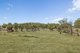 Photo - 13664 New England Highway, Tamworth NSW 2340 - Image 2