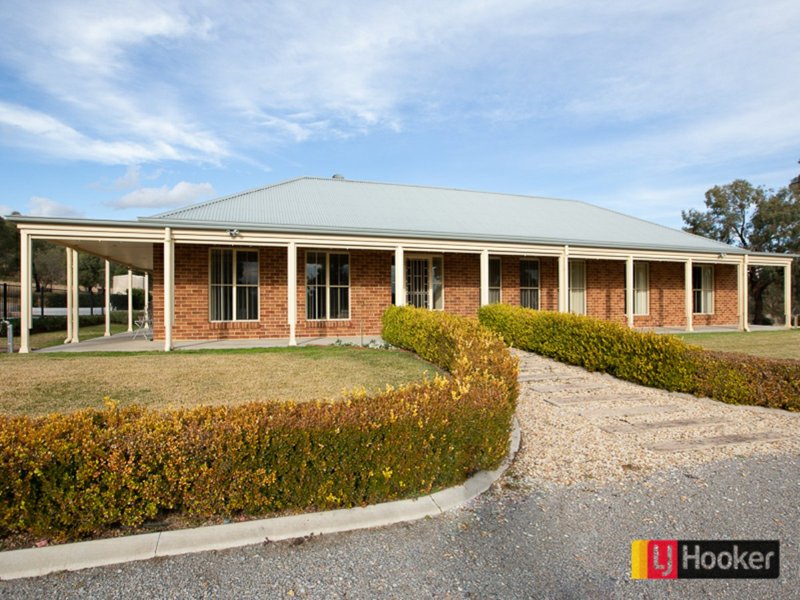 Photo - 13668 New England Hwy , Tamworth NSW 2340 - Image 11