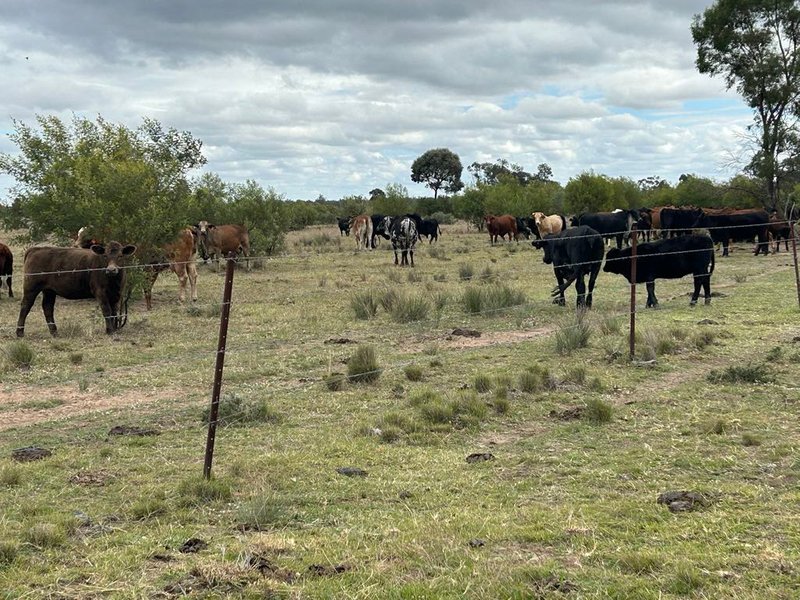 Photo - 1369 Yagaburne-Boondandilla Road, Moonie QLD 4406 - Image 6