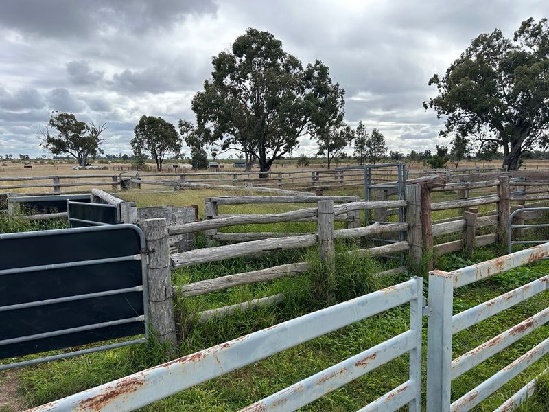 Photo - 1369 Yagaburne-Boondandilla Road, Moonie QLD 4406 - Image 12