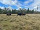 Photo - 1369 Yagaburne-Boondandilla Road, Moonie QLD 4406 - Image 16