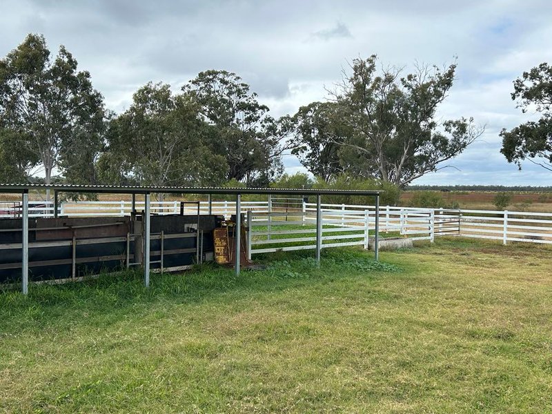 Photo - 1369 Yagaburne-Boondandilla Road, Moonie QLD 4406 - Image 19