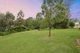 Photo - 137-139 Orion Road, Cedar Vale QLD 4285 - Image 21