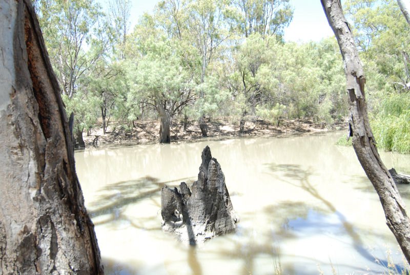 Photo - 137 Billabong Creek Drive (Conargo) Drive, Deniliquin NSW 2710 - Image 5