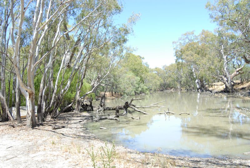 Photo - 137 Billabong Creek Drive (Conargo) Drive, Deniliquin NSW 2710 - Image 6