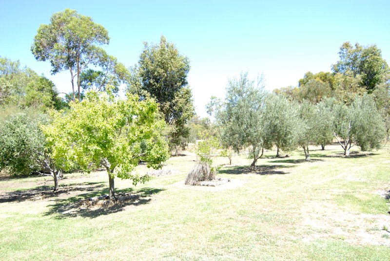 Photo - 137 Billabong Creek Drive (Conargo) Drive, Deniliquin NSW 2710 - Image 11