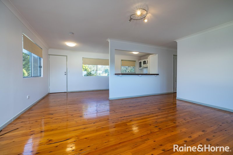 Photo - 137 Boundary Road, Thornlands QLD 4164 - Image 8