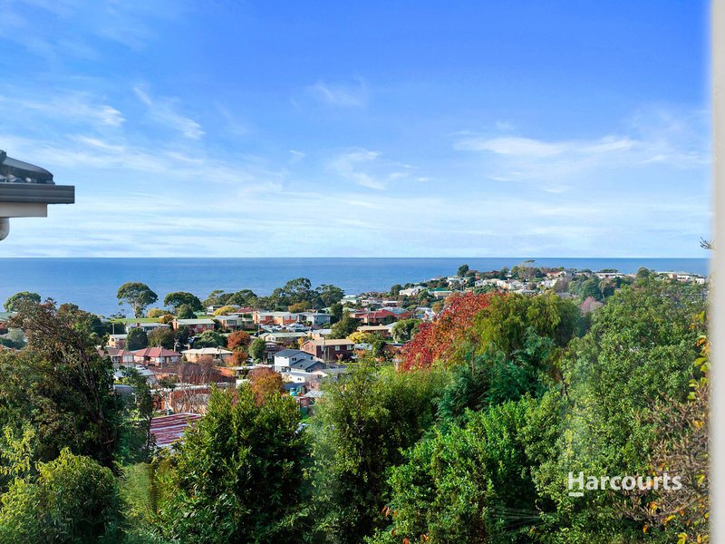 Photo - 137 Brickport Road, Park Grove TAS 7320 - Image 16