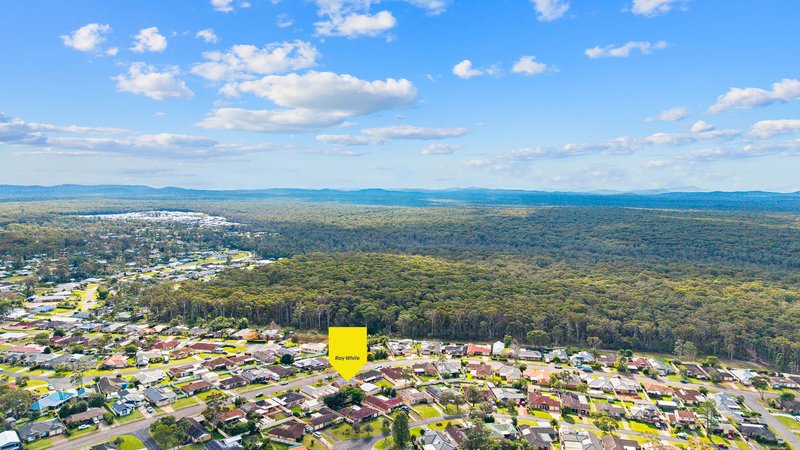 Photo - 137 Coachwood Drive, Medowie NSW 2318 - Image 17