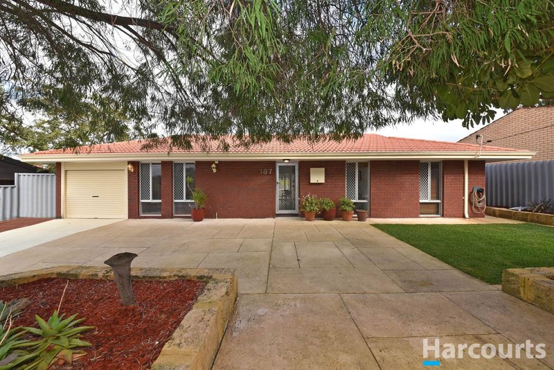 Photo - 137 Eddystone Avenue, Craigie WA 6025 - Image 2