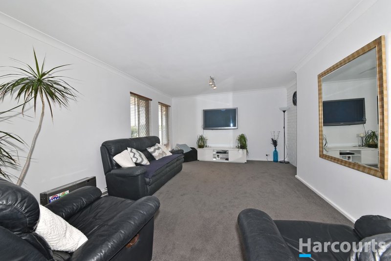 Photo - 137 Eddystone Avenue, Craigie WA 6025 - Image 6