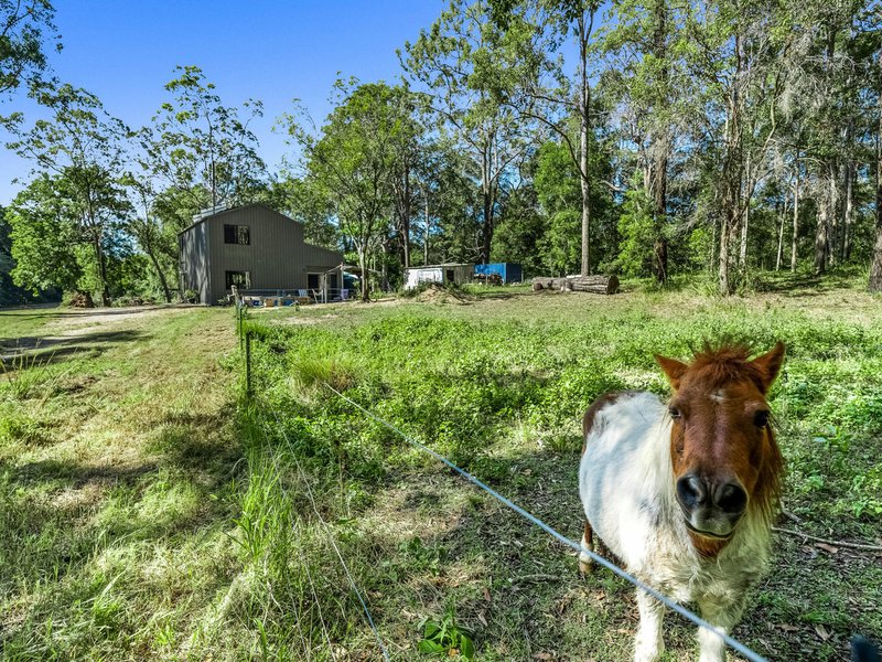 Photo - 137 Gahans Road, Bagotville NSW 2477 - Image 18