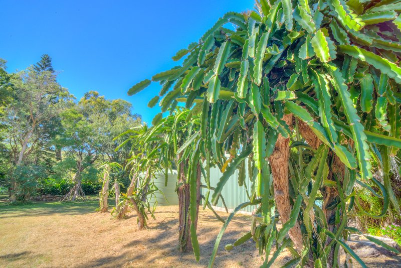 Photo - 137 Josefski Road, Agnes Water QLD 4677 - Image 7