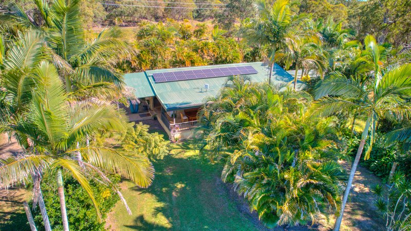 Photo - 137 Josefski Road, Agnes Water QLD 4677 - Image 9