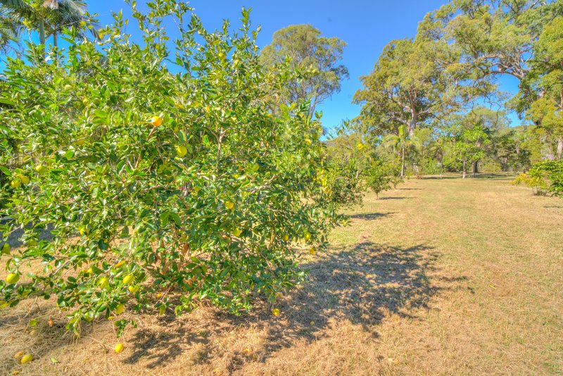 Photo - 137 Josefski Road, Agnes Water QLD 4677 - Image 27