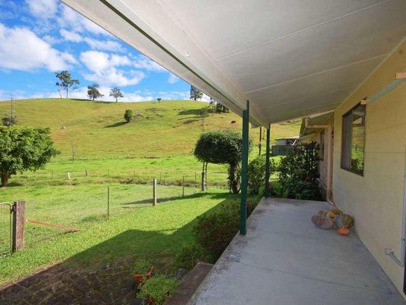 Photo - 137 Killabakh Creek Road, Killabakh NSW 2429 - Image 12