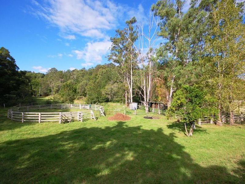 Photo - 137 Killabakh Creek Road, Killabakh NSW 2429 - Image 15