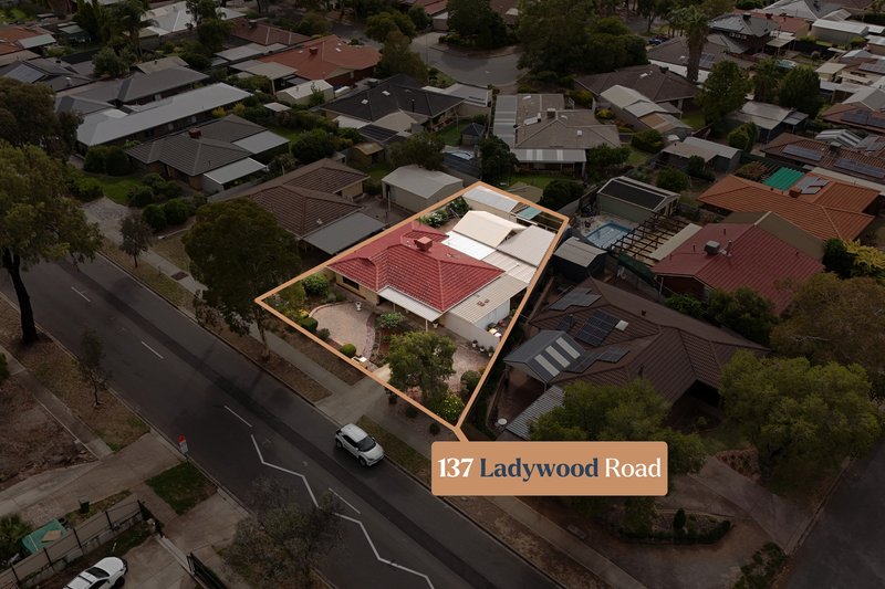 Photo - 137 Ladywood Road, Modbury Heights SA 5092 - Image 2
